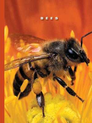 Bees - ebook